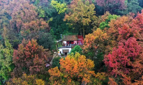 Mount Yuelu