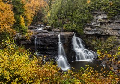 Blackwater Falls State Park