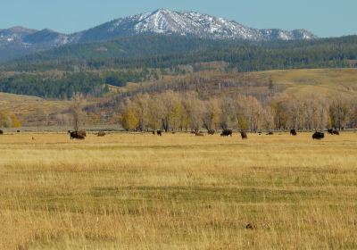 West Yellowstone