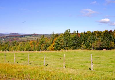 Koiwai Farm