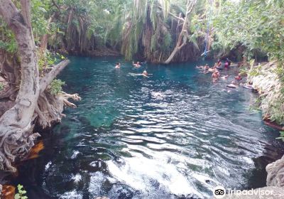 Kikuletwa Hotsprings