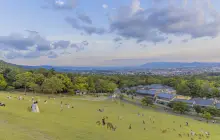 Mount Wakakusa