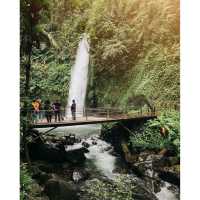 Sawer Waterfall