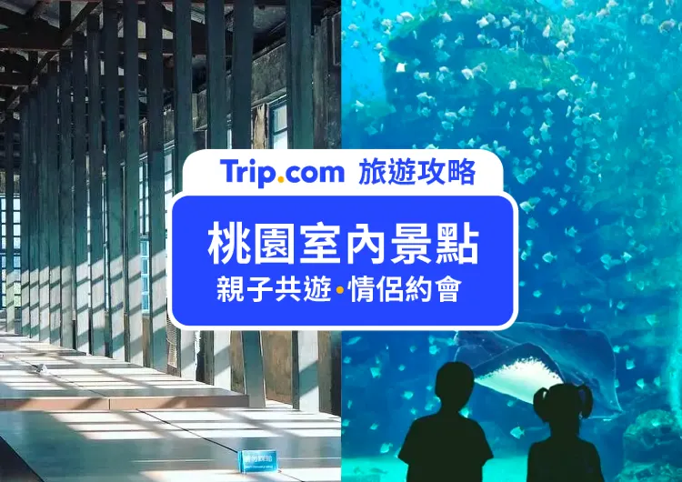 【2025 桃園室內景點推薦】不怕下雨！親子、情侶都愛的 15 個桃園室內景點