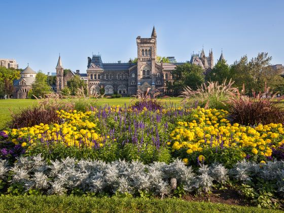 University of Toronto