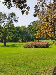 Florya Atatürk Forest