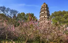 Tiger Hill(Huqiu) Scenic Area