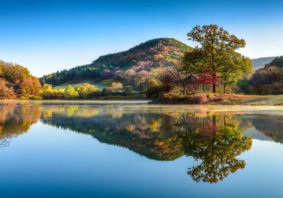 瑞山市