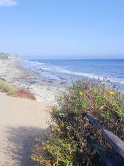 Goleta Beach Park