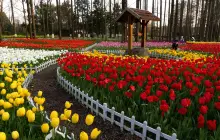 南京中山植物園