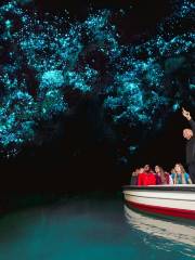 Waitomo Glowworm Caves