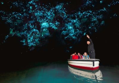 Waitomo Glowworm Caves