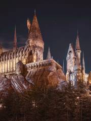 The Wizarding World Of Harry Potter