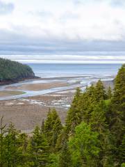 Parco nazionale di Fundy