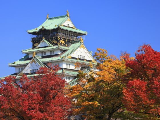 Parco del castello di Osaka