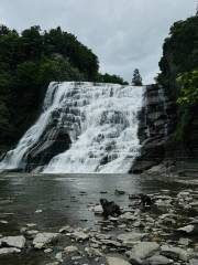 Ithaca Falls Natural Area