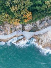 Dameisha Seashore Walkway