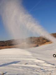 冉莊滑雪場