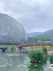 Geoje Botanical Garden Jungle Dome