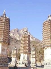 Yinshan Pagoda Forest