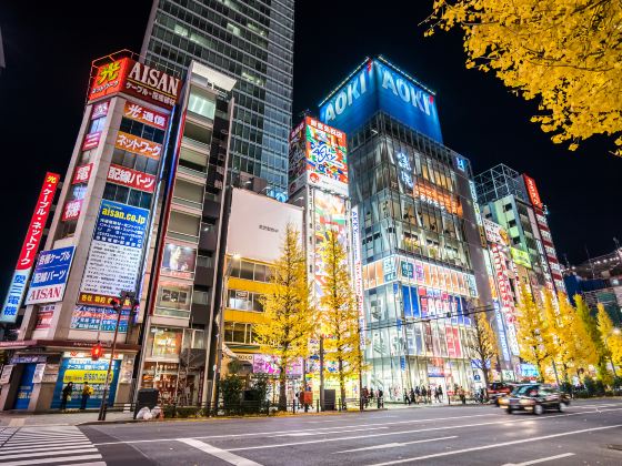 Akihabara Electric Town