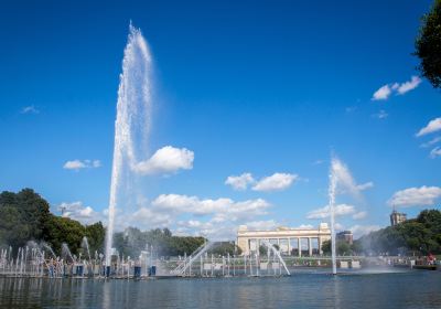 The Geneva Water Fountain