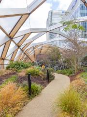 Crossrail Place Roof Garden