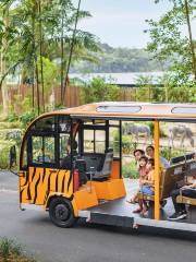 Singapore Zoo