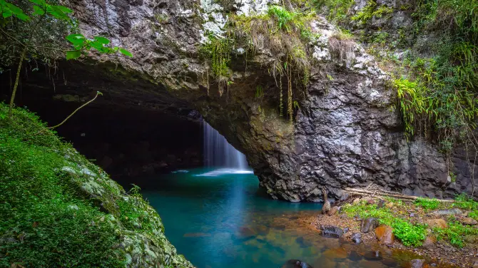 2_Springbrook National Park