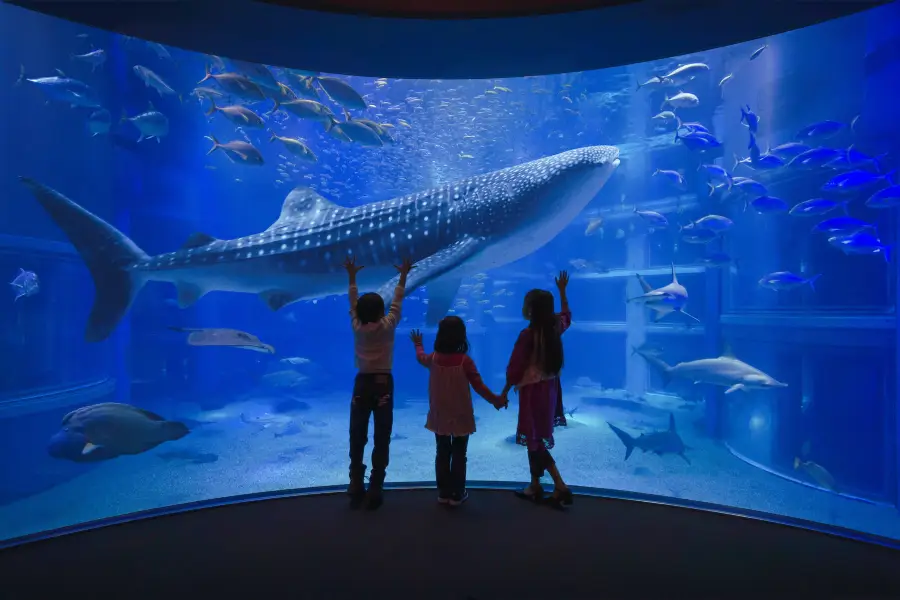 海遊館