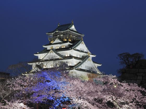 Parco del castello di Osaka