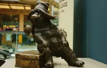 Paddington Bear