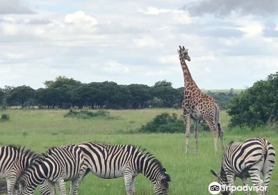 Haka Game Park