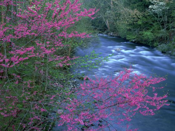 Guandu Nature Park