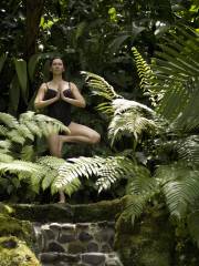 Yoga in Bali