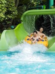 Adventure Cove Waterpark