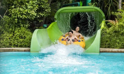 Adventure Cove Waterpark