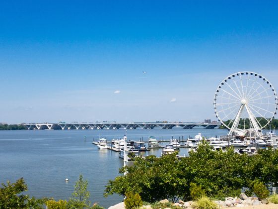 The Seattle Great Wheel