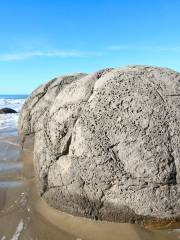 Moeraki Boulders Beach