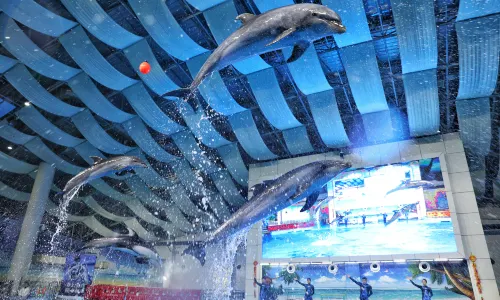 Hefei Aquarium