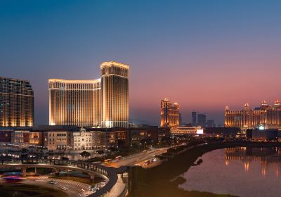 Macau University of Science and Technology