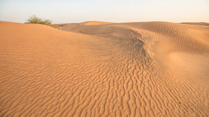 4_Dubai Desert Conservation Reserve