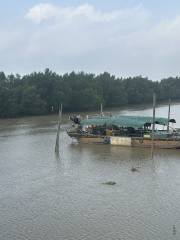 Yako Mangrove Wetland