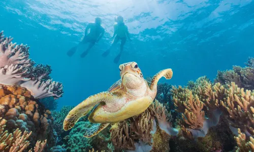 Great Barrier Reef