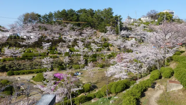 千光寺公園