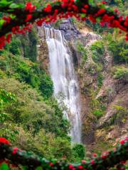 Bijia Mountain Waterfall