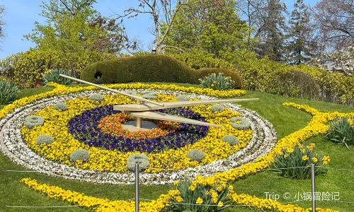 The Flower Clock