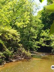 Waterfall Glen Forest Preserve