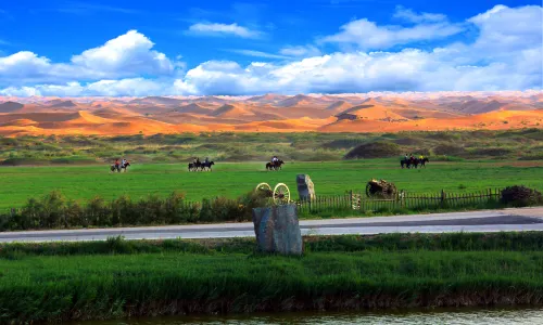 Tonghu Grassland Tourist Areas