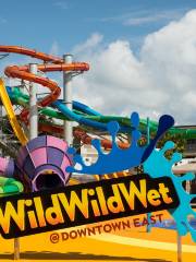 Wild Wild Wet水上樂園